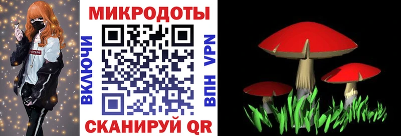 цена наркотик  Звенигород  Псилоцибиновые грибы MAGIC MUSHROOMS 